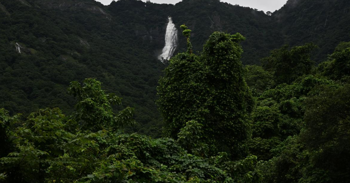 Western Ghats ESA Draft: Centre Revives Decade-Long Conservation Debate Amid Development Concerns