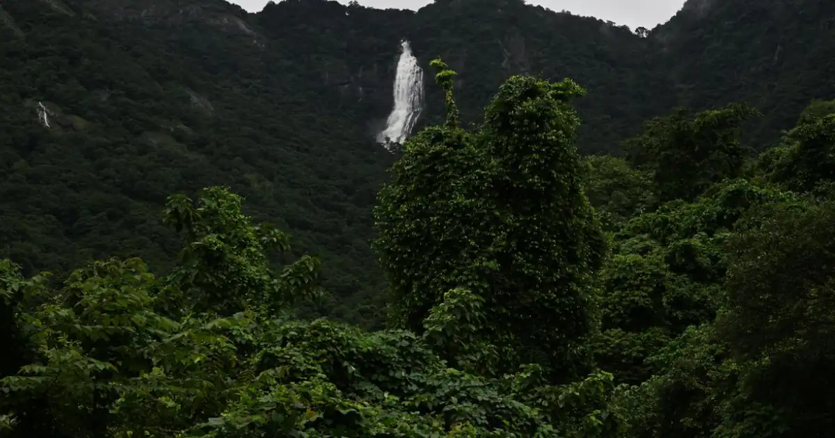 Western Ghats ESA Draft: Centre Revives Decade-Long Conservation Debate Amid Development Concerns