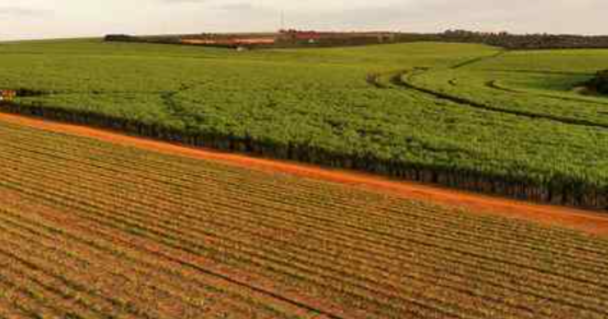 Strengthening Domestic Energy Security Through Decentralised Bioenergy Systems