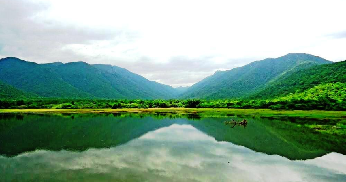 Bhavani River Faces Water Hyacinth Menace, Raising Concerns Over Ecosystem and Livelihoods
