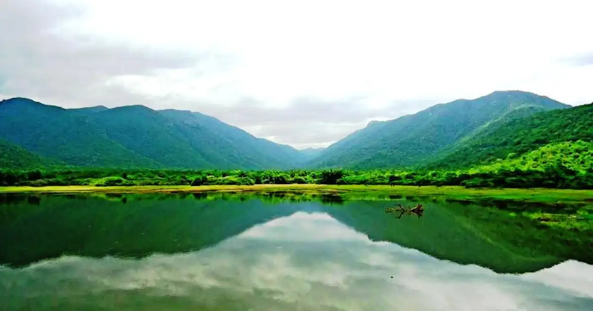 Bhavani River Faces Water Hyacinth Menace, Raising Concerns Over Ecosystem and Livelihoods